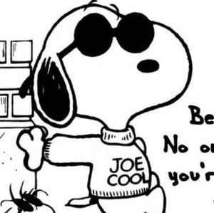 Meet your Posher, Beth